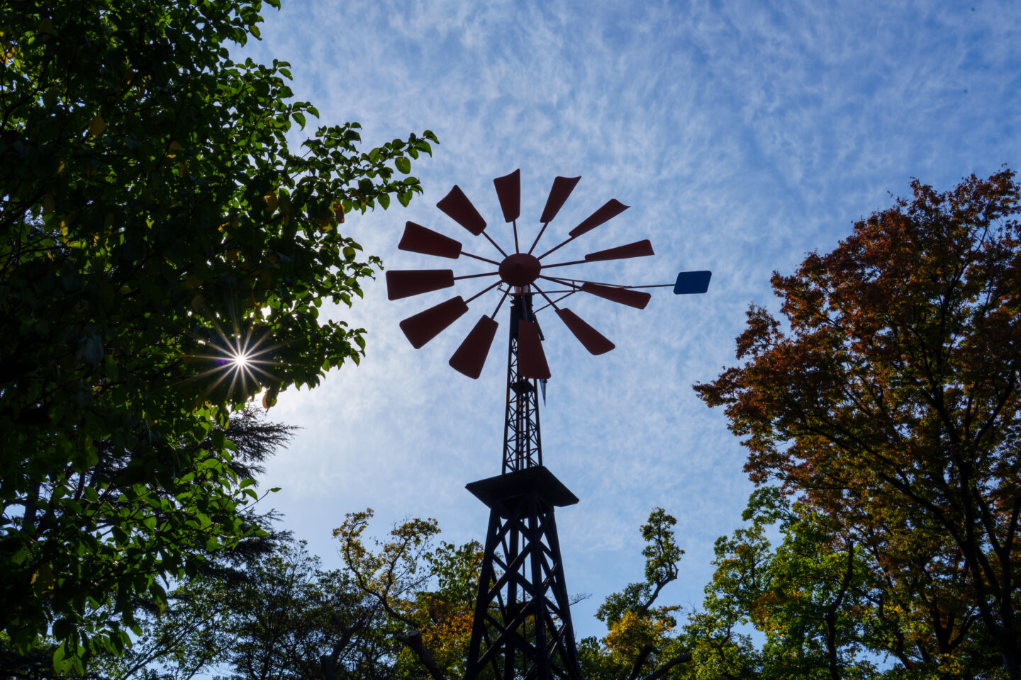 初心者におすすめのカメラ『ソニー α7C II』｜写真家 鈴木知子