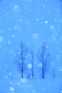 冬景色の光と向き合うための基本とテクニック｜斎藤裕史