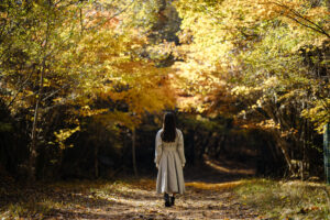 キヤノン RF85mm F1.4 L VCMレビュー｜軽量でAFが優秀なレンズ