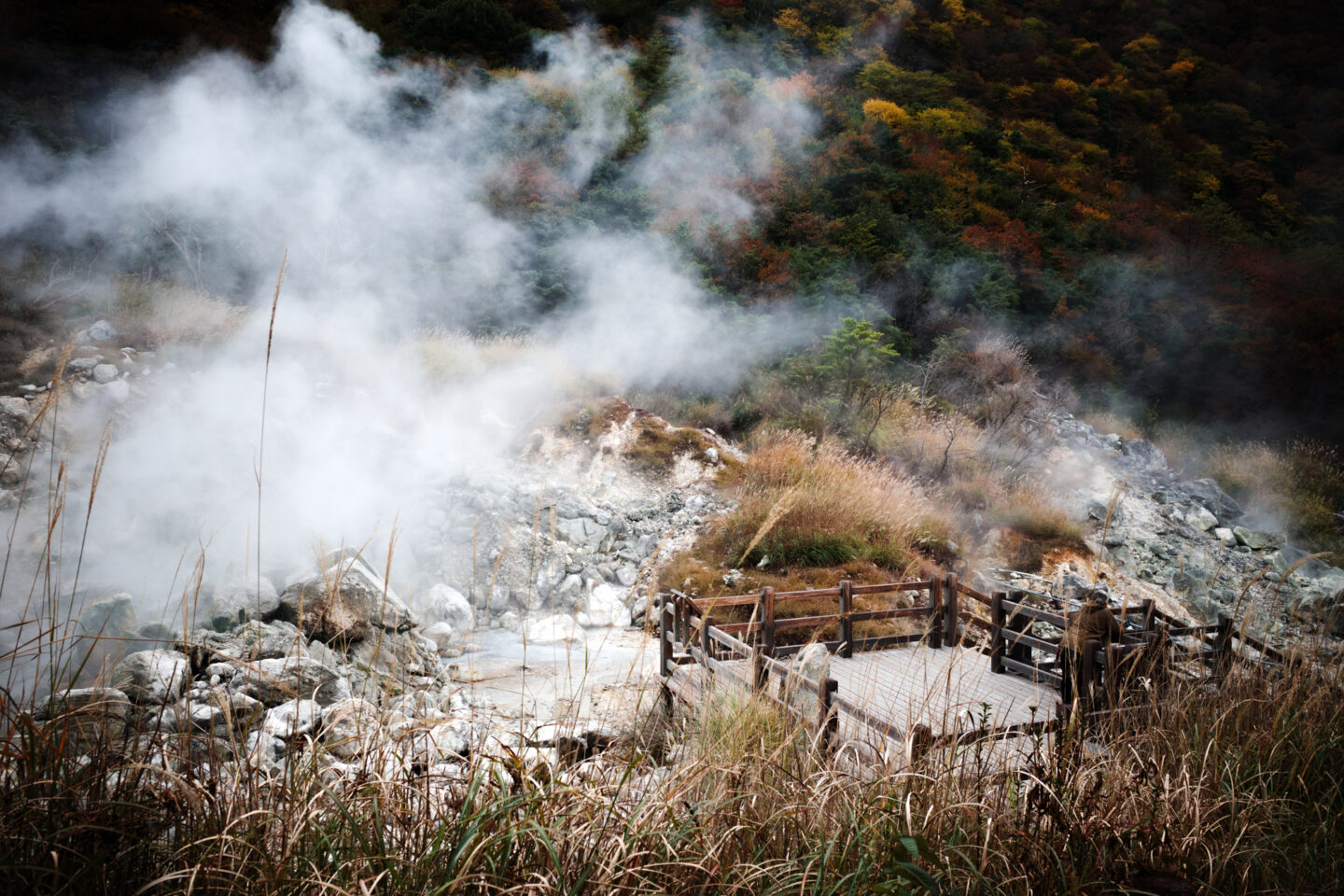 リコー GR IV｜主役にも、脇役にもなれる相棒：長崎・雲仙紀行