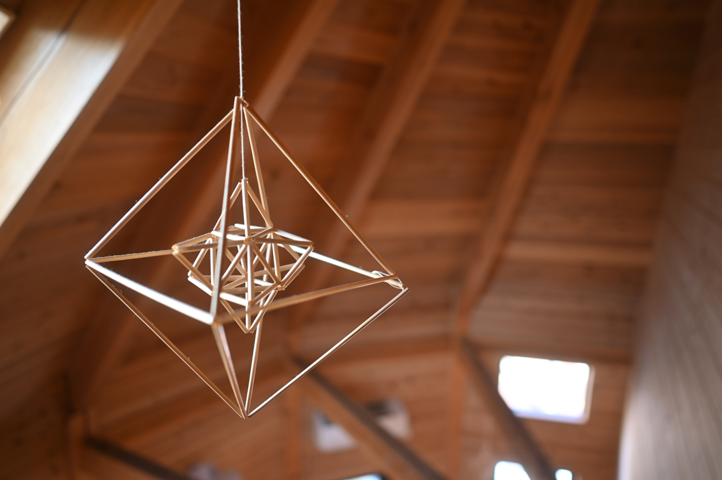 動画最強！一番の稼ぎ頭レンズ｜ニコン NIKKOR Z 24mm f/1.8 S レビュー