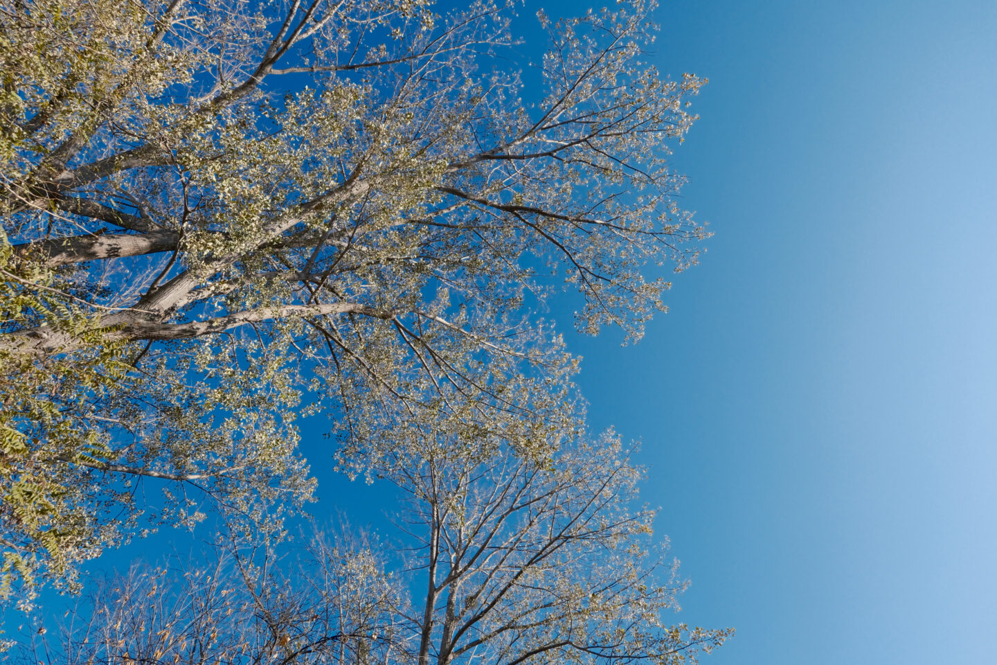 初心者におすすめのカメラ『富士フイルム X-T30 III』｜写真家 渡邉真弓