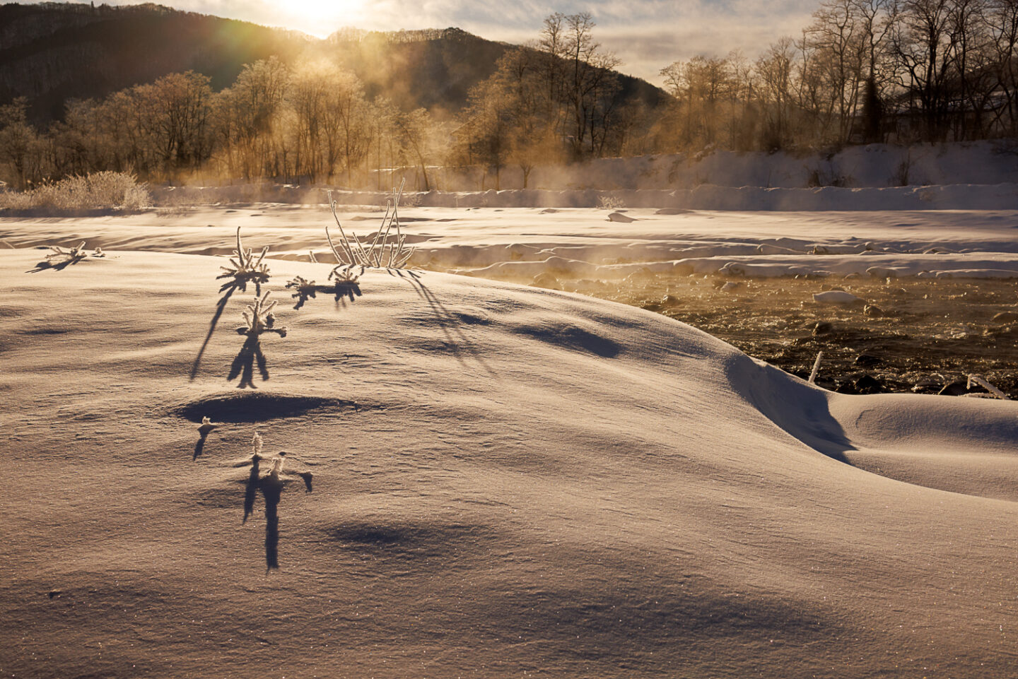 広大な景色も、足元の小さな自然も。キヤノン「RF35mm F1.8 MACRO IS STM」レビュー