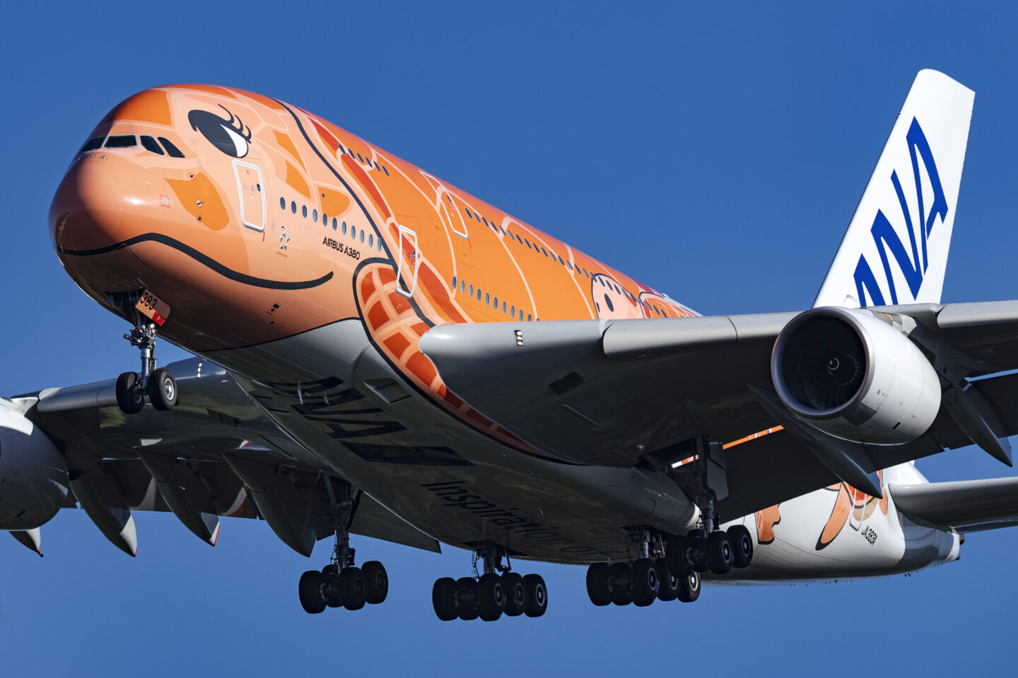 キヤノン EOS R6 Mark IIIでヒコーキを撮る｜A☆50/Akira Igarashi