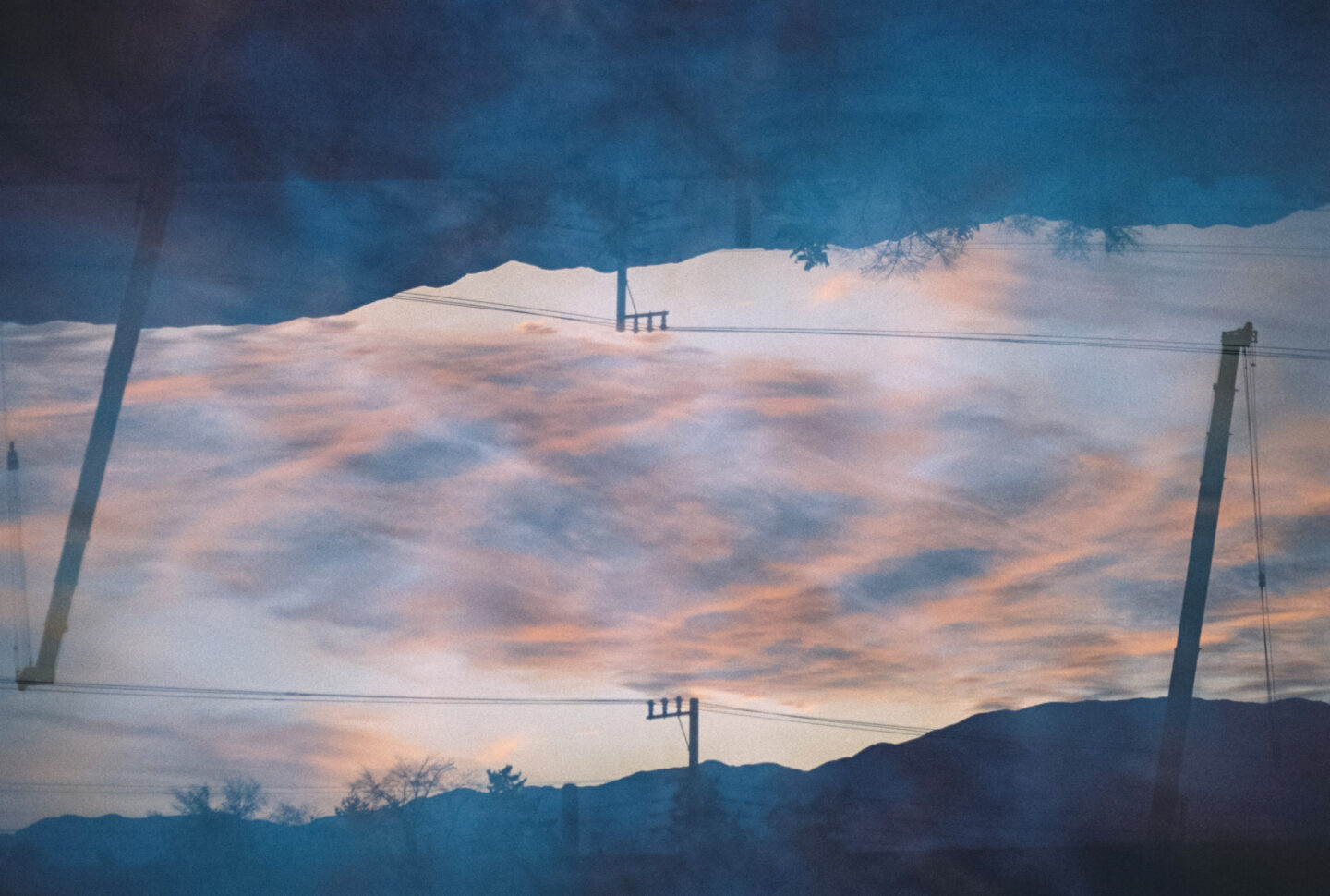 ＃『冬らしさを写す様々な被写体』｜フィルムカメラの魅力　国分真央