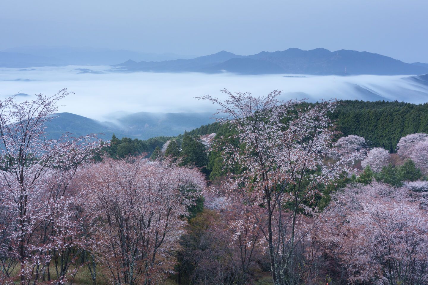 風景写真の引き出しを増やす！｜その16：Lightroomを使った画像処理で 