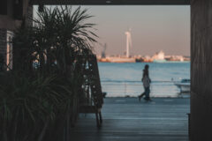 スナップだからこだわりたい！コンパクトフルサイズという選択｜ソニー α7 V・α7C II