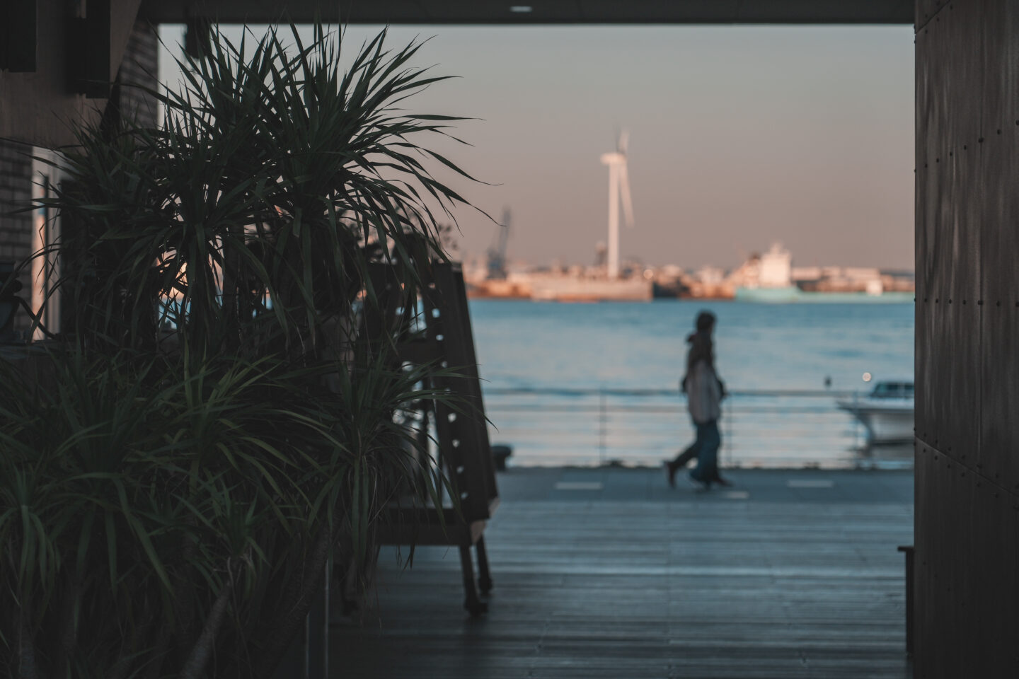 スナップだからこだわりたい！コンパクトフルサイズという選択｜ソニー α7 V・α7C II