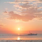 初心者におすすめのカメラ『ニコン Z50II』｜写真家 小春ハルカ