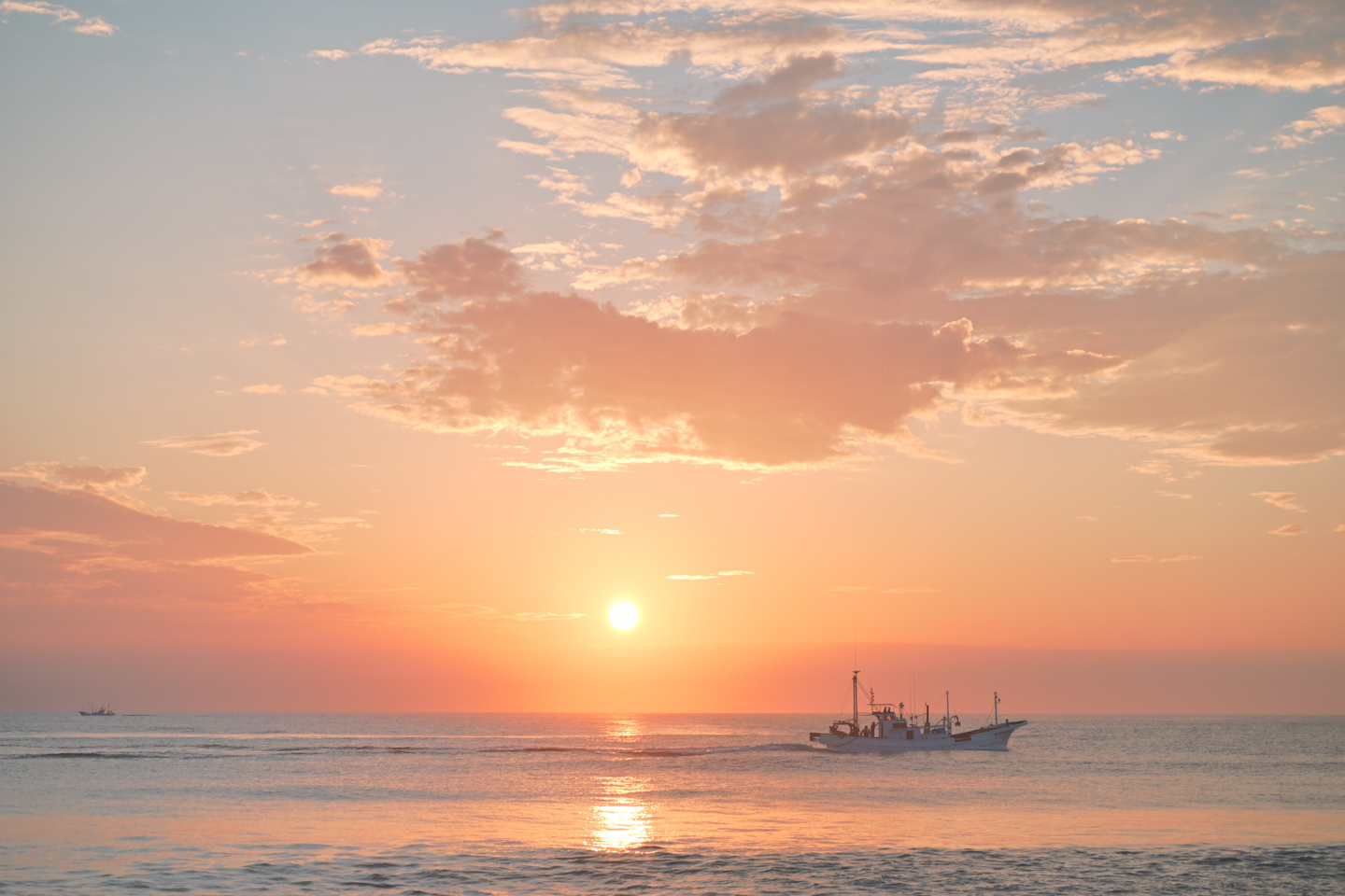 初心者におすすめのカメラ『ニコン Z50II』｜写真家 小春ハルカ