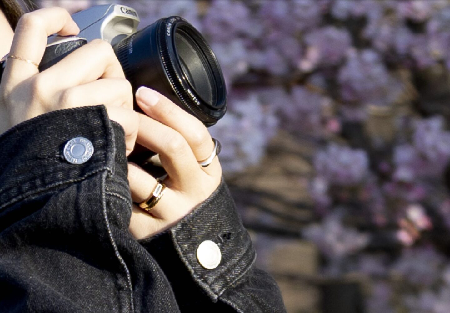キヤノン EF24-105mm F4L IS USMレビュー｜RFマウントのミラーレス 