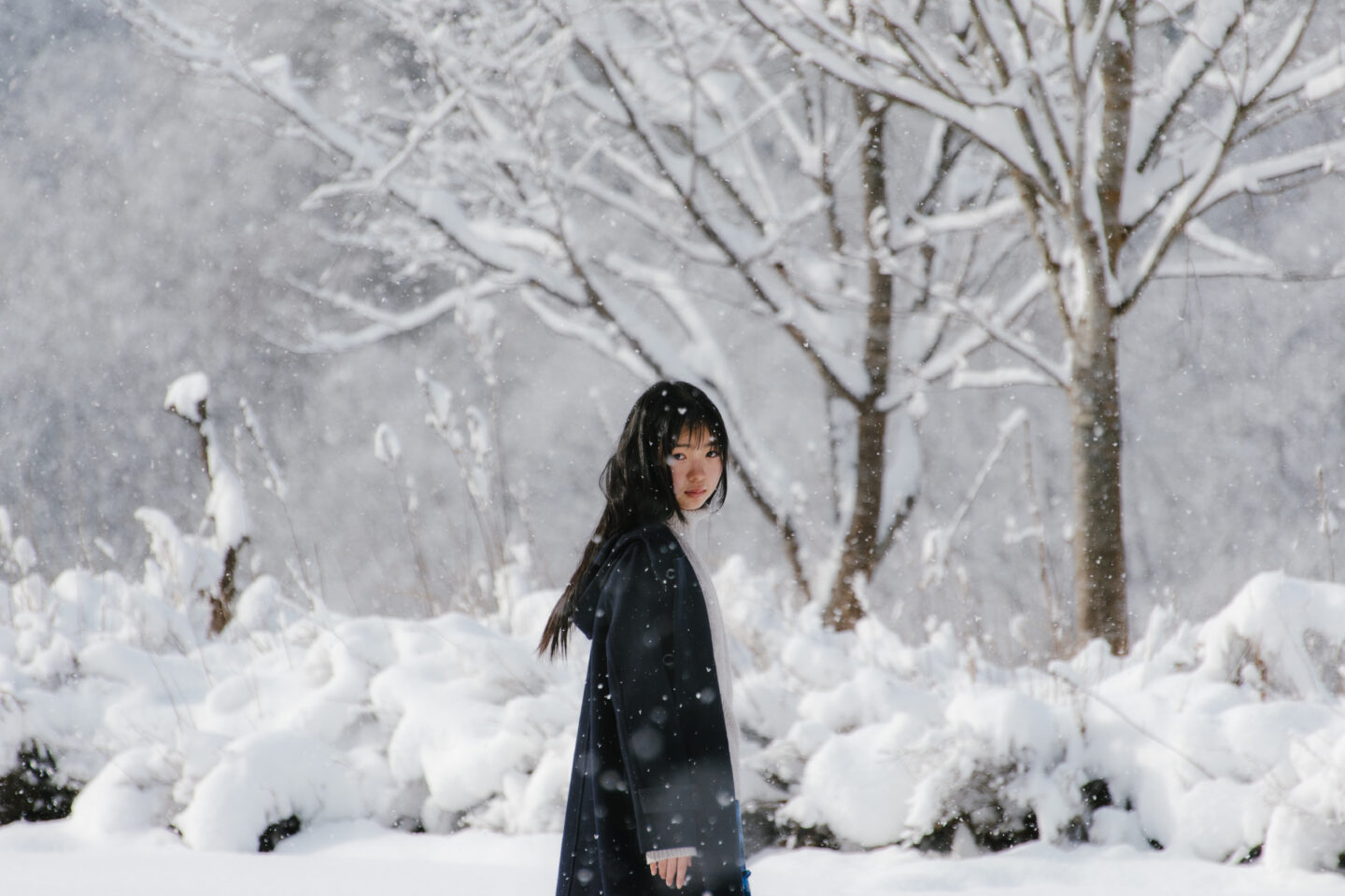 単焦点派が選んだ、16-300mmという選択。シグマ 16-300mm F3.5-6.7 DC OS | Contemporary