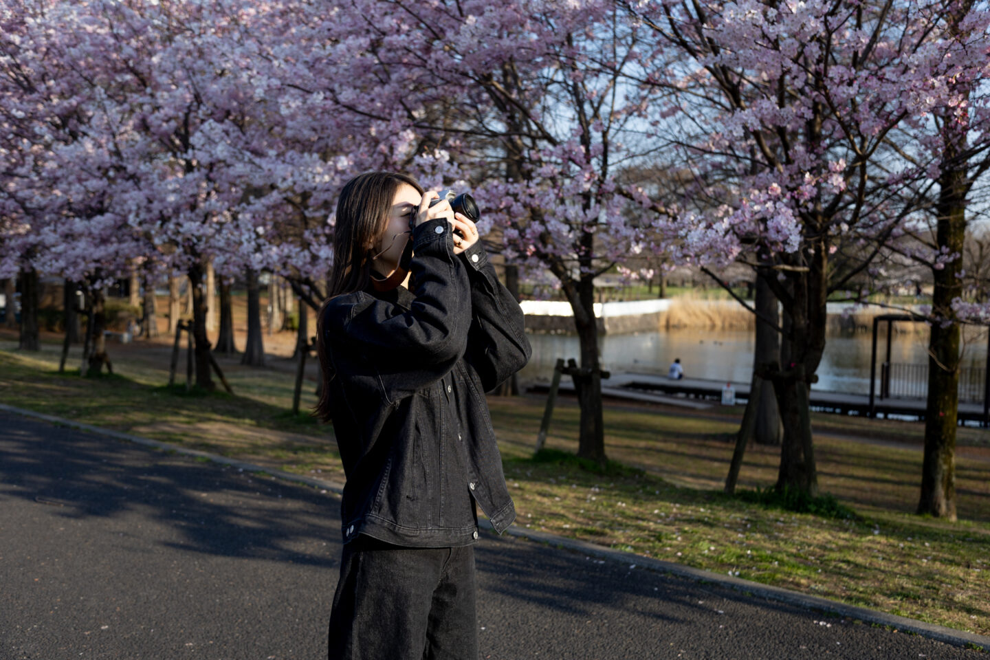 キヤノン EF24-105mm F4L IS USMレビュー｜RFマウントのミラーレスカメラでEFレンズを楽しもう！