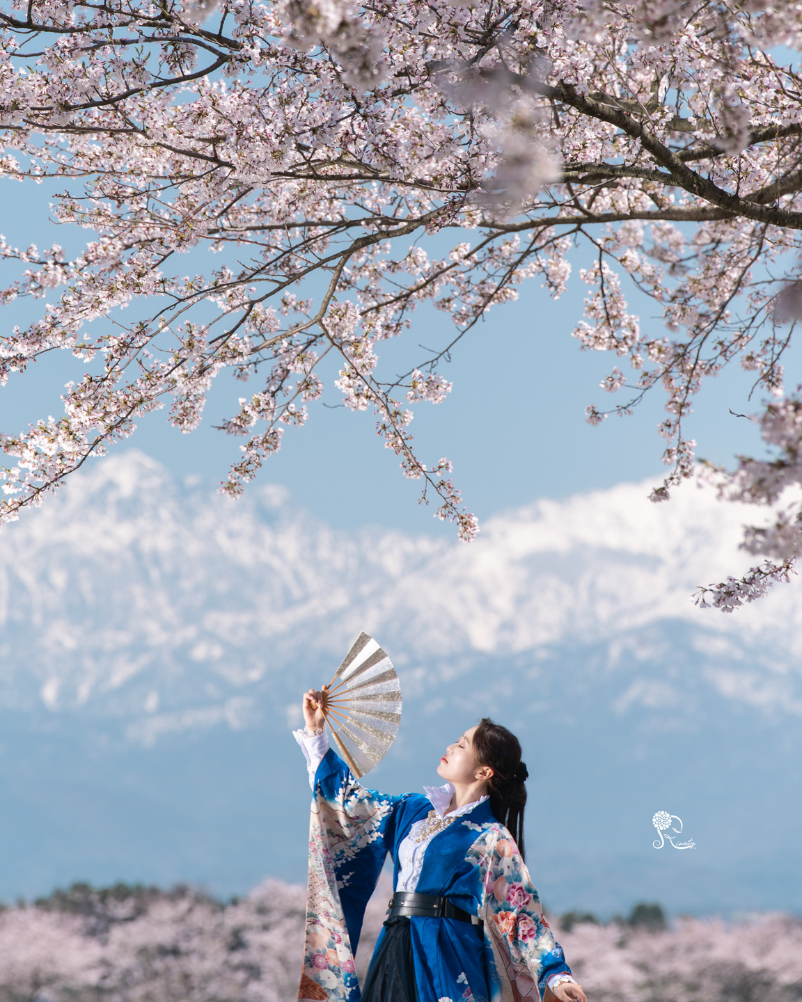 桜ポートレートを魅力的に撮る7つのテクニック｜Rinaty