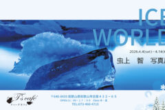 虫上智 写真展『ICE WORLD』2026年4月4日～14日＠和歌山・ティーズカフェ