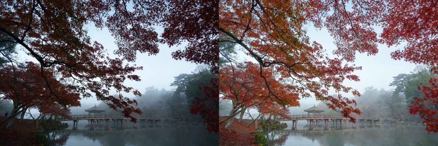 風景写真の引き出しを増やす！｜その17：Lightroomを使った画像処理で作品をレベルアップ2