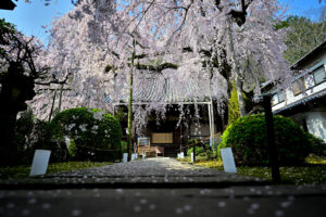 ニコンの広角単焦点レンズ NIKKOR Z 20mm f/1.8 Sの魅力に迫る！