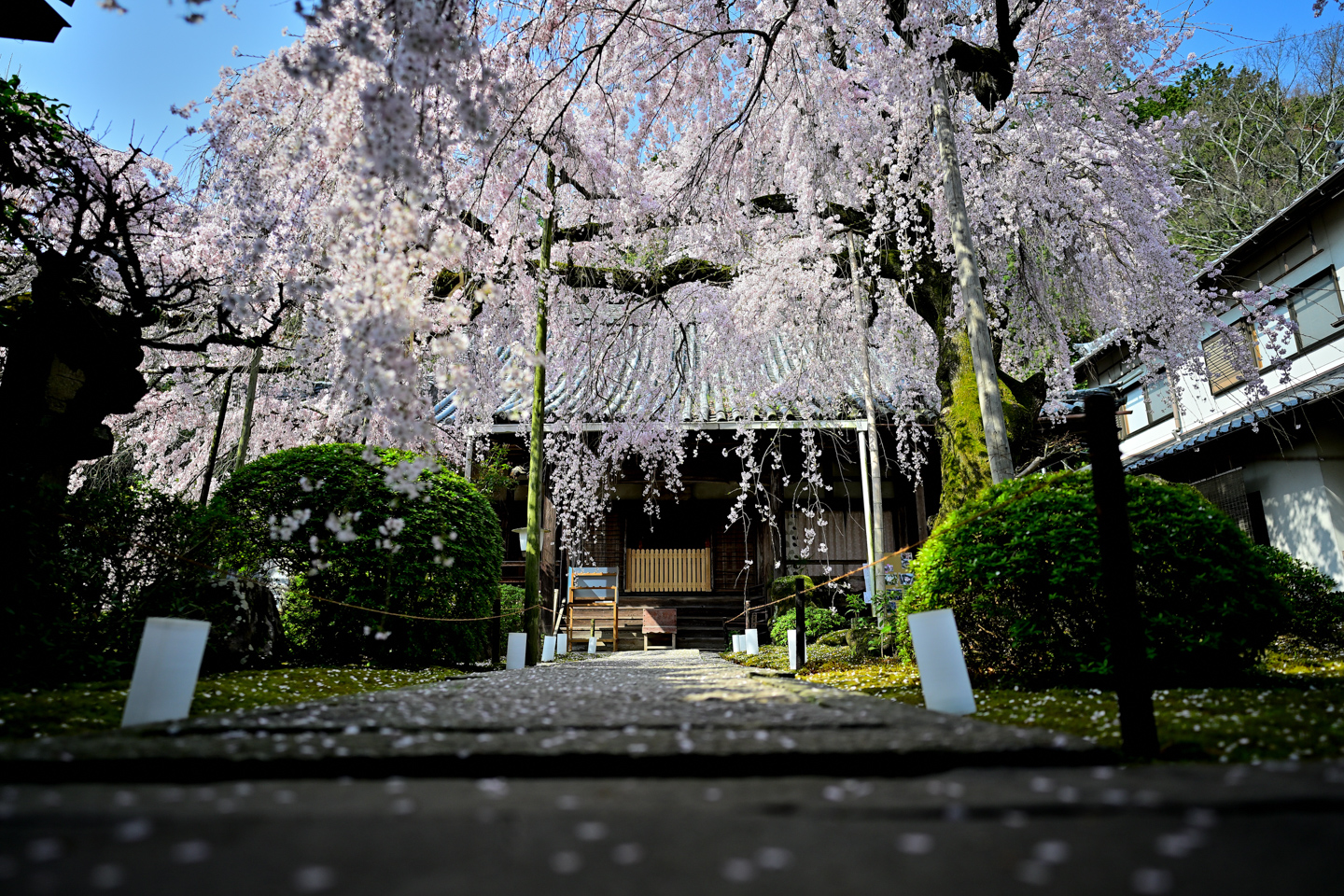 ニコンの広角単焦点レンズ NIKKOR Z 20mm f/1.8 Sの魅力に迫る！