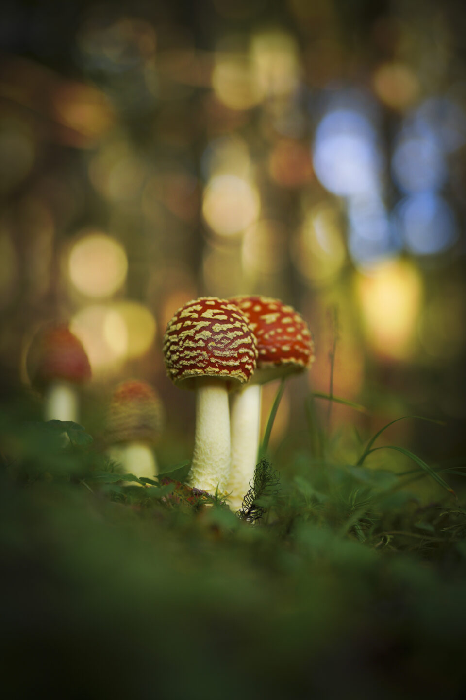 萩原れいこ 写真展「風景を紡ぐ」2026年4月23日～5月13日@カメラのキタムラ松本・並柳店