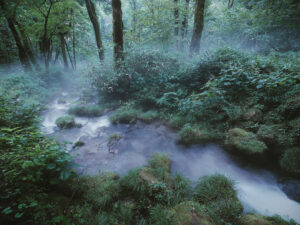 木村琢磨 写真展「IMAGE」 2026年4月17日～5月12日 @カメラのキタムラ高知・土佐道路店