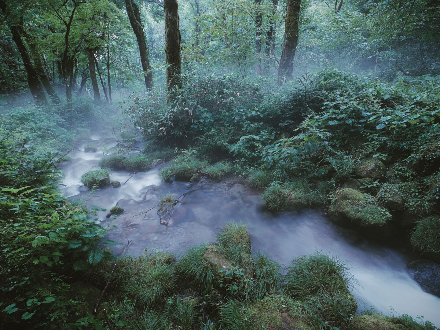 木村琢磨 写真展「IMAGE」 2026年4月17日～5月12日 @カメラのキタムラ高知・土佐道路店