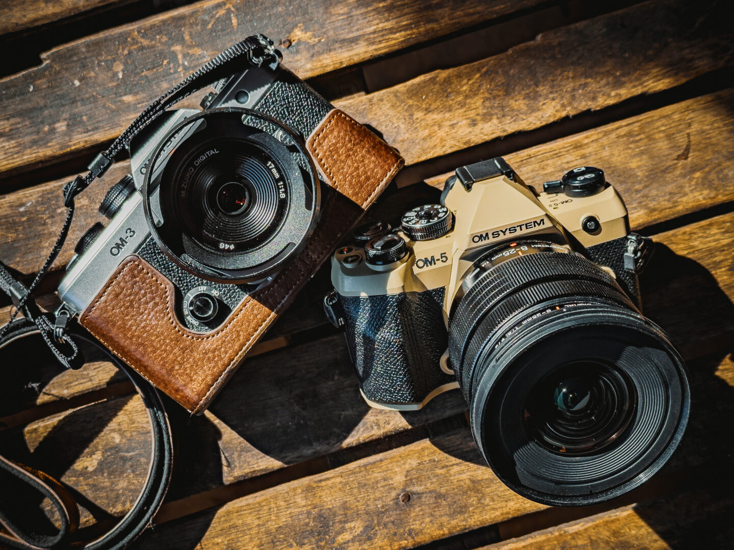 写真家 木村琢磨がOMシリーズと巡る胡椒の聖地カンボジア ～再び訪れる乾季の胡椒畑～【前編】