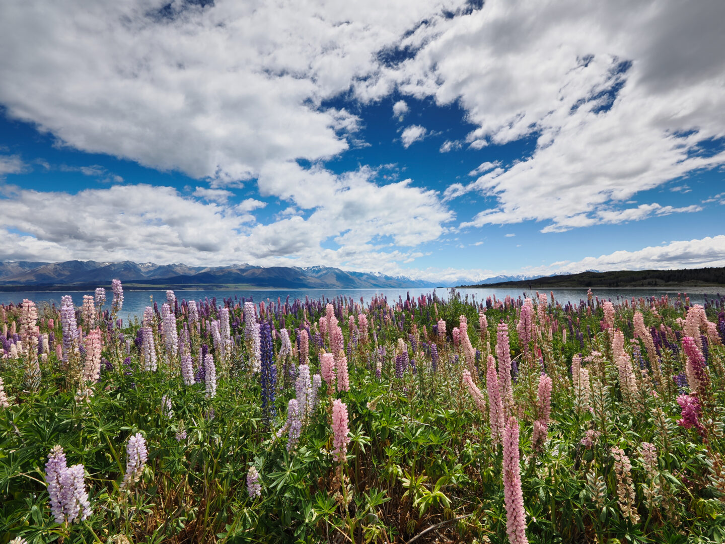 万能で高機能なOMシステムのカメラと出かけよう｜斎藤巧一郎