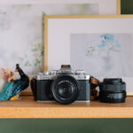 連れ出したくなるカメラ、ニコン Zfcで写す旅と日常