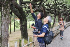 OM SYSTEM OM-1 Mark IIとOM-3を持って観光と撮影を楽しもう 栗林公園 撮影会レポート