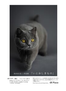 坂井田富三 作品展「いとおしきもの」 2026年8月15日～8月28日 @ソニーストア大阪
