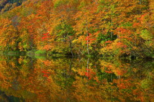 【鏡紅葉】鏡で表現する紅葉風景 -前編-