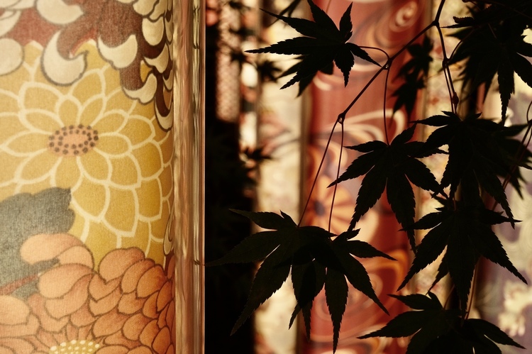おすすめ撮影スポット Vol.5『京都・嵐山』｜カメキタ店舗スタッフに聞いてみた！
