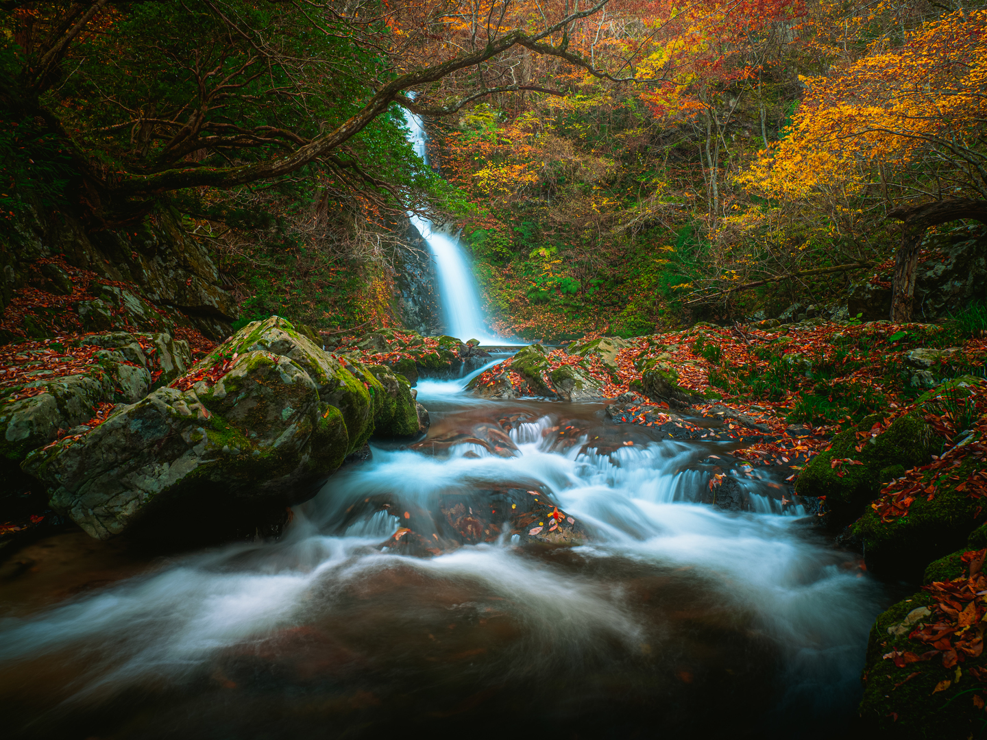 オリンパス M.ZUIKO DIGITAL ED 12-100mm F4.0 IS PRO レビュー｜旅に