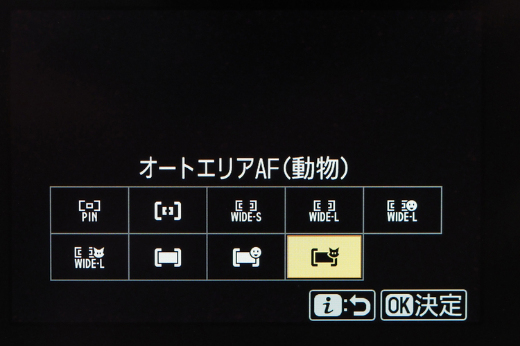 09_Z fc画面.JPG