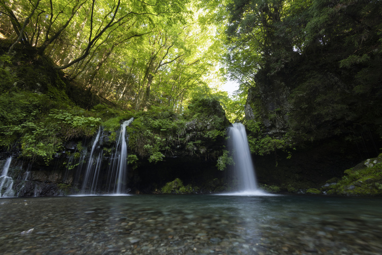 Canon RF16mm F2.8 STM（レンズプロテクター付き）