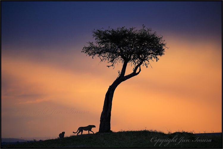 ［終了］【写真展情報】井村淳 写真展「ALIVE ～GREAT HORIZON～」