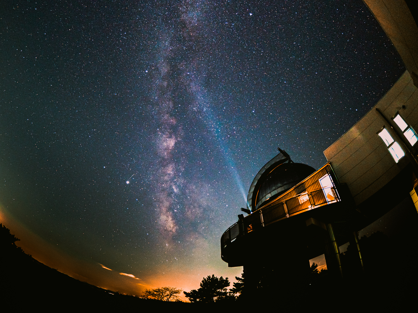 ありません OLYMPUS - オリンパス m.zuiko 8mm f1.8 fisheye proの通販 by yuji_208's