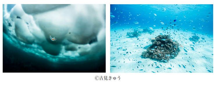 ［終了］【写真展】古見きゅう写真展「JAPAN’S SEA」