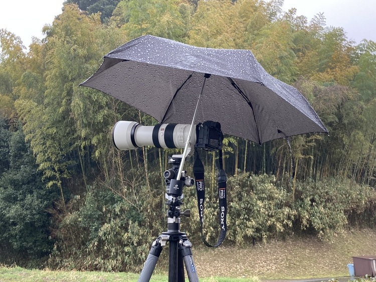 天候を味方に！条件を生かす撮影法｜その2：雨天編17.jpg