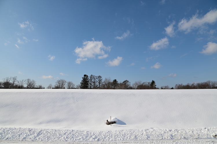 雪と青空を正面から撮影した写真.JPG