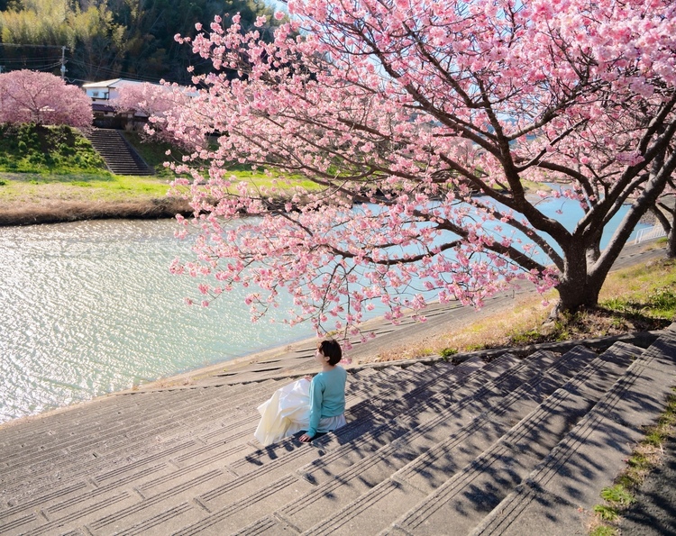 佐藤俊斗 × ポートレート vol.2 | 春を印象的に映し出す桜撮影テクニック