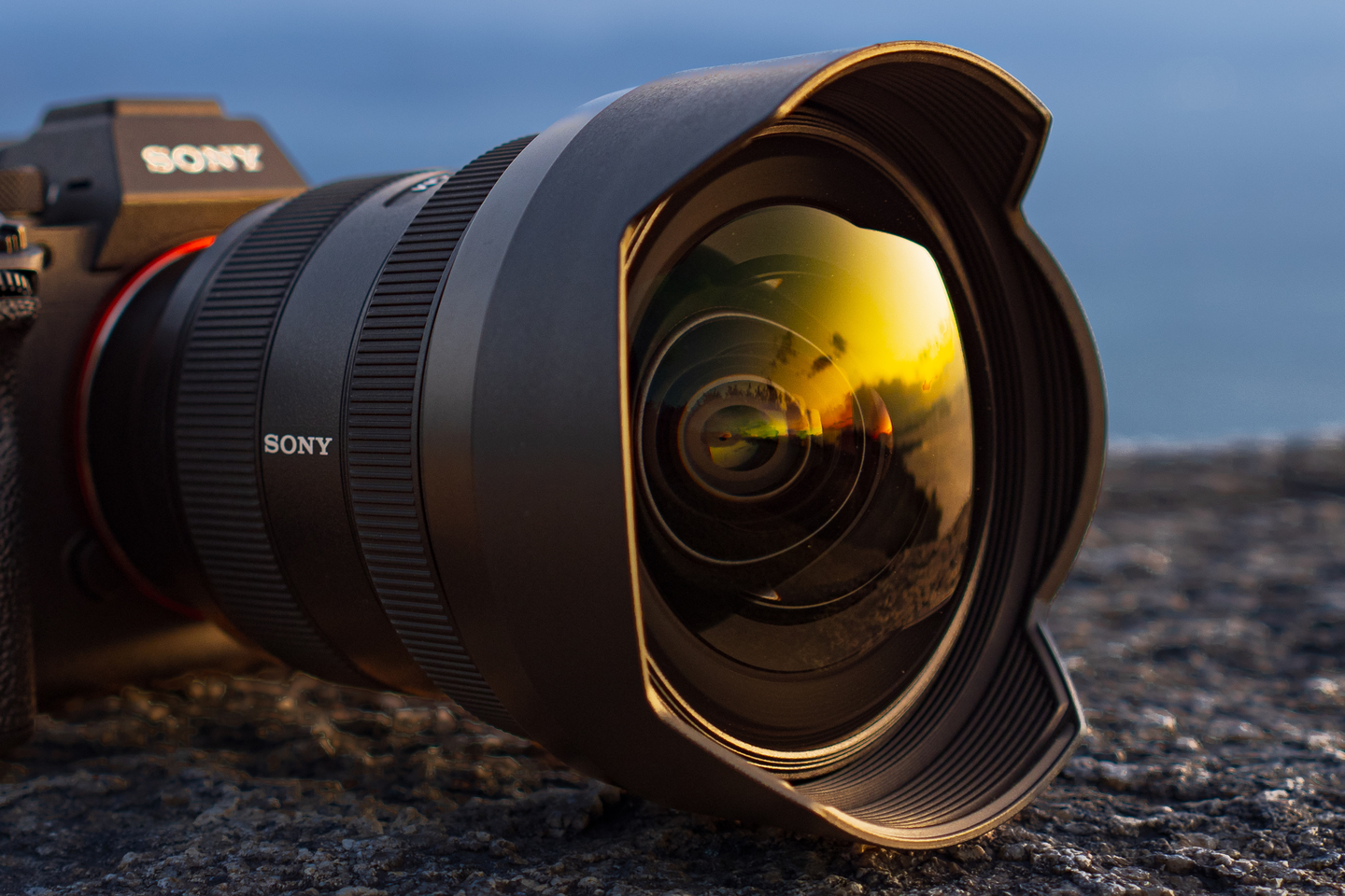 SONY レンズ　FE2.8 24G レンズ(単焦点) カメラ 家電・スマホ・カメラ 【メーカー再生品】