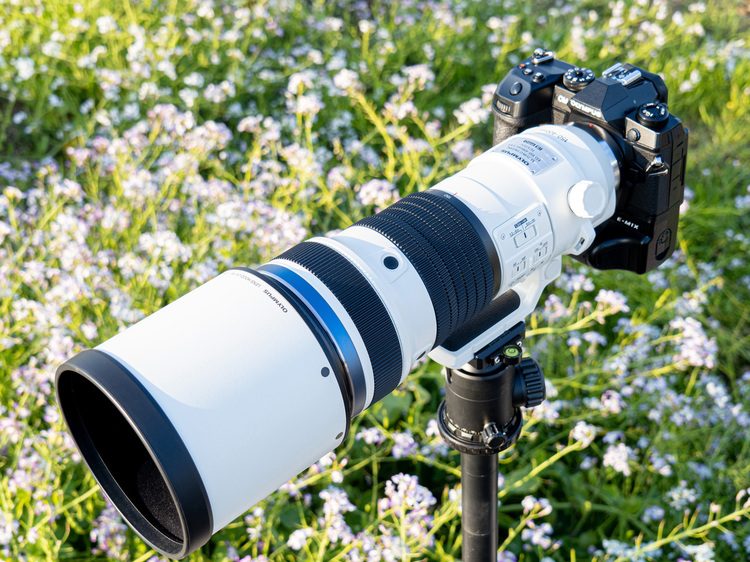 オリンパス M.ZUIKO DIGITAL ED 150-400mm F4.5 TC1.25x IS PRO｜マイクロフォーサーズのメリットを最大限に引き出した次世代の高性能超望遠ズームレンズ