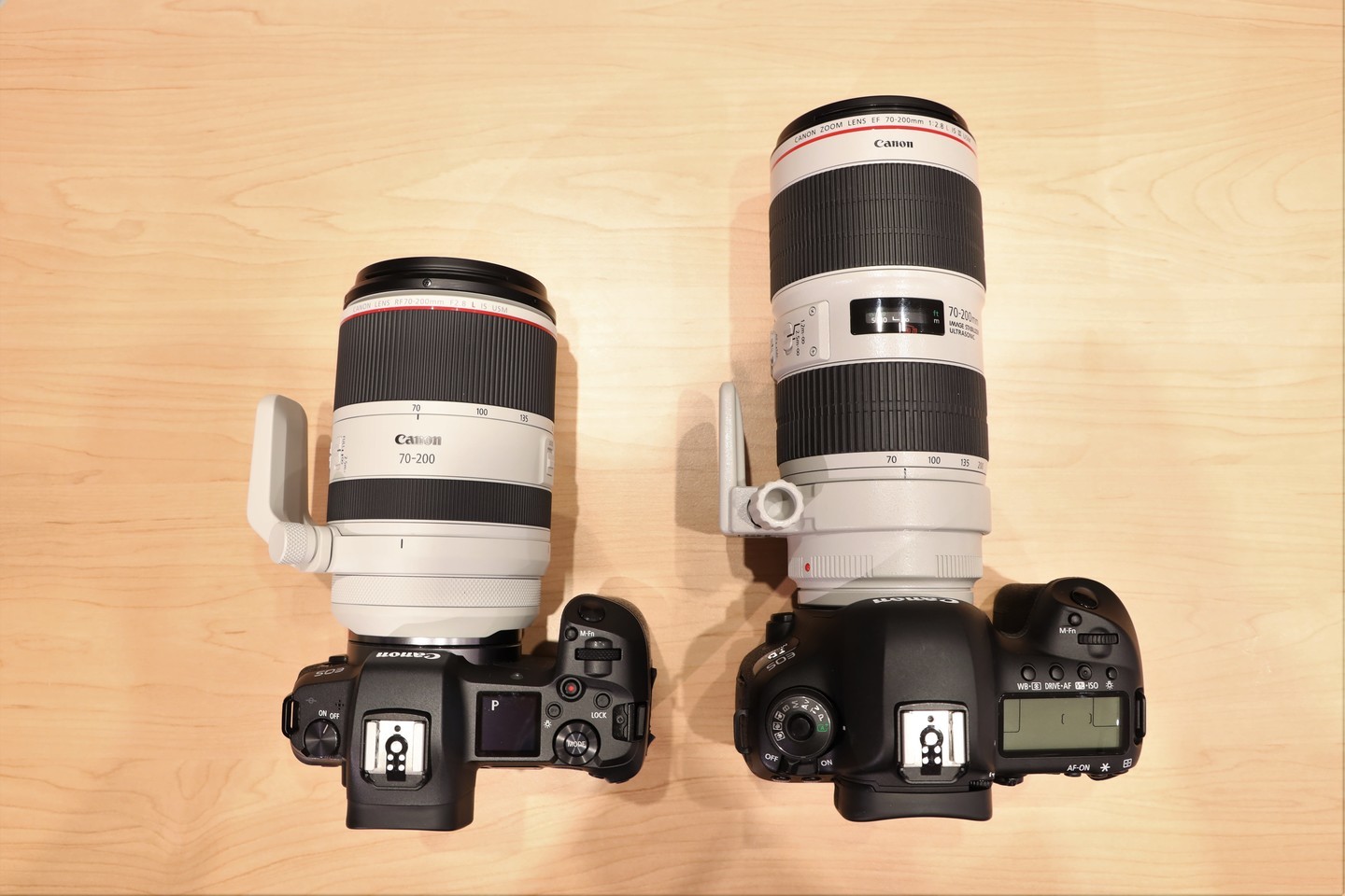 キヤノン RF70-200mm F2.8 L IS USM｜AF性能動画やメーカーコメント