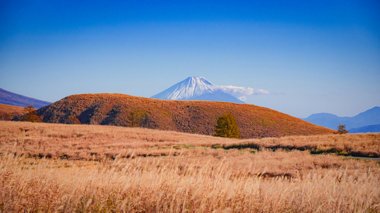 タムロン 35-150mm F2-2.8 Di III VXD018.jpg