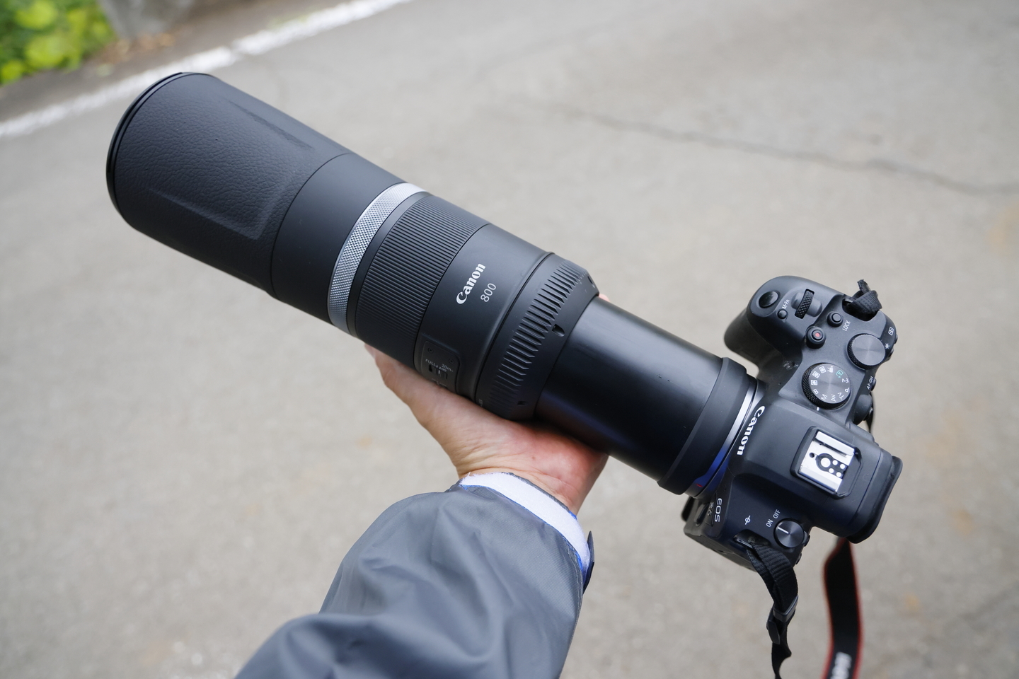 Canon RF800mm F11 IS STM フルセット