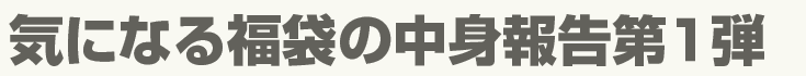 気になる福袋の中身報告第1弾
