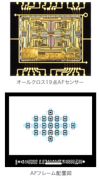 オールクロス19点AFセンサー