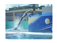 高速起動＆高速AFで瞬間を逃がさない