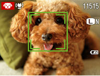 スーパーCCDハニカムEXR
